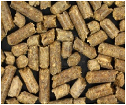 WoodPellet