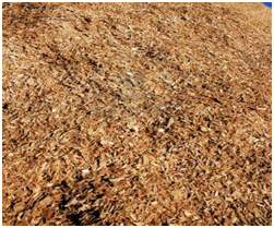 woodchip